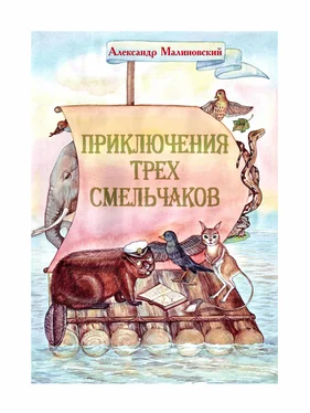 Александр Малиновский Приключения трех смельчаков обложка книги