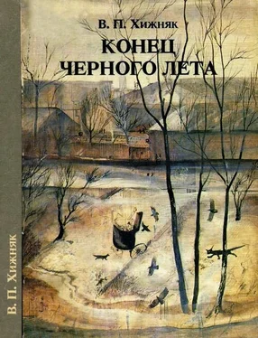 В Хижняк Конец черного лета обложка книги