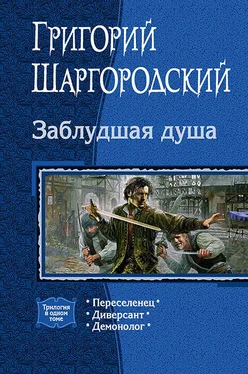 Григорий Шаргородский Заблудшая душа [litres, трилогия] обложка книги