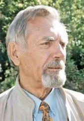 Владимир Михайлюк - Пермская шкатулка