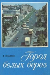 Владимир Михайлюк - Город белых берез