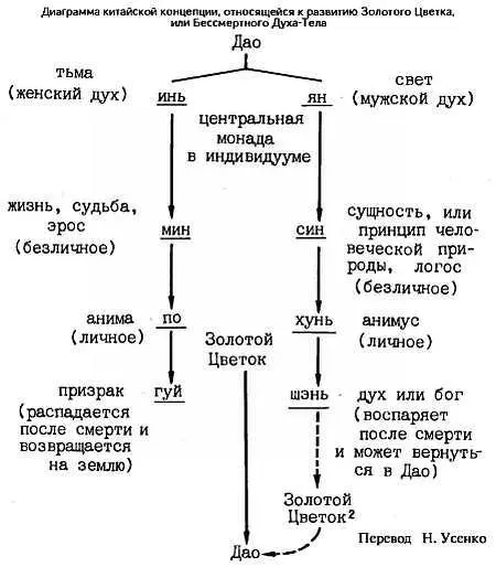 2 Из текста видно что буддийское влияние представило Золотой Цветок как - фото 2