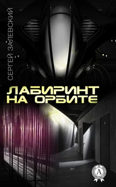 Сергей Залевский Лабиринт на орбите обложка книги