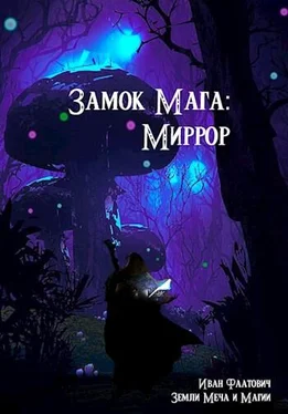 Иван Фаатович Замок мага: Миррор обложка книги