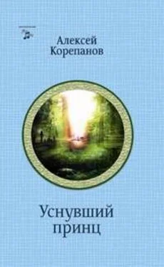 Алексей Корепанов На чужом поле. Уснувший принц обложка книги