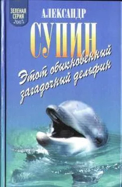 Александр Супин Этот обыкновенный загадочный дельфин обложка книги