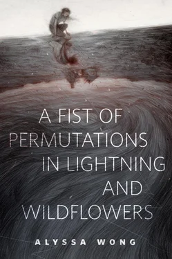 Алисса Вонг A Fist of Permutations in Lightning and Wildflowers обложка книги