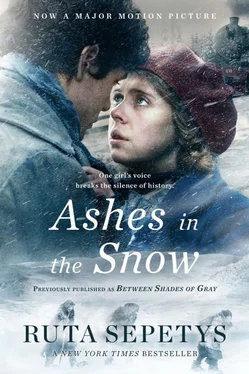 Рута Шепетис Ashes in the Snow [aka Between Shades of Gray]