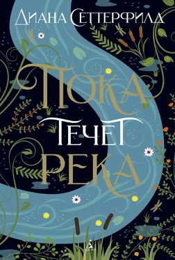 Диана Сеттерфилд Пока течет река [litres] обложка книги