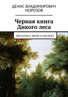 Денис Морозов Черная книга Дикого леса обложка книги