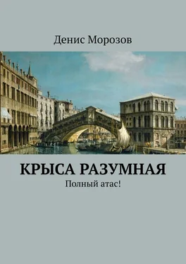 Денис Морозов Крыса Разумная обложка книги