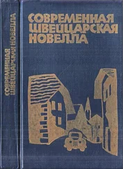 Вальтер Диггельман - Якоб-старьевщик