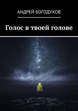Андрей Богодухов Голос в твоей голове обложка книги