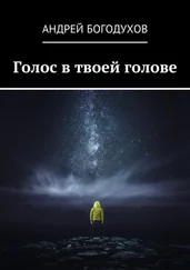 Андрей Богодухов - Голос в твоей голове