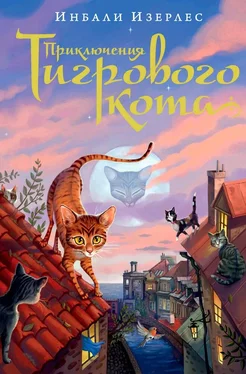 Инбали Изерлес Приключения Тигрового кота обложка книги