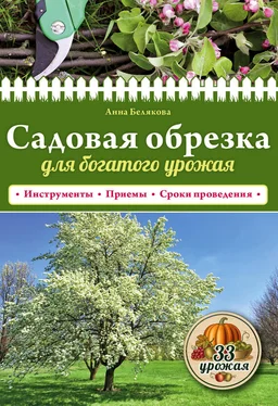 Анна Белякова Садовая обрезка для богатого урожая обложка книги