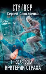 Сергей Слюсаренко - Критерий страха [litres]