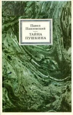Павел Павловский Тайна Пушкина обложка книги