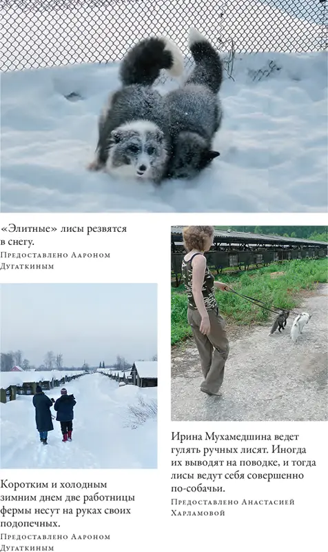Примечания - фото 5