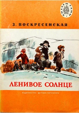 Зоя Воскресенская Ленивое солнце [Рассказы] обложка книги