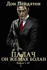 Дон Пендлтон - Палач. Цикл романов