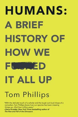 Tom Phillips Humans: A Brief History of How We F*cked It All Up обложка книги
