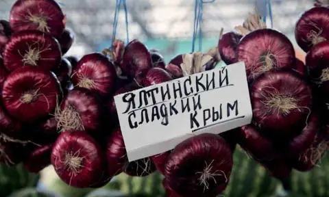 Sweettasting Yalta onions only grow in Crimea these ones were on display at - фото 93