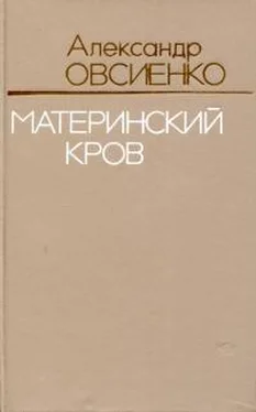 Александр Овсиенко Материнский кров обложка книги