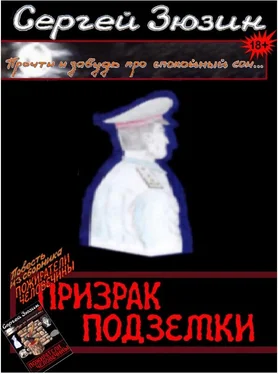 Сергей Зюзин Призрак подземки обложка книги