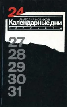 Анатолий Новиков Календарные дни обложка книги