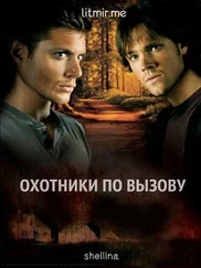 shellina - Охотники по вызову [СИ]