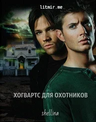 shellina - Хогвартс для охотников [СИ]