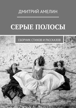 Дмитрий Амелин Серые полосы обложка книги