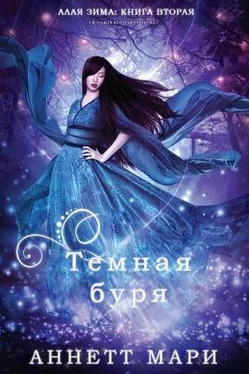 Мари Аннетт Темная буря (ЛП) обложка книги