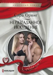 Сара Орвиг - Неразгаданное искушение