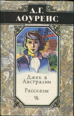 Дэвид Лоуренс Избранные произведения в 5 томах. Книга 4: Джек в Австралии. Рассказы обложка книги