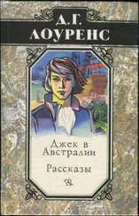 Дэвид Лоуренс - Избранные произведения в 5 томах. Книга 4 - Джек в Австралии. Рассказы