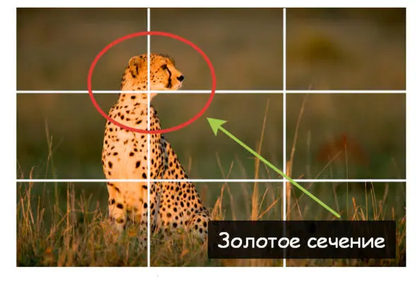 Instagram для поэтов и писателей - фото 6