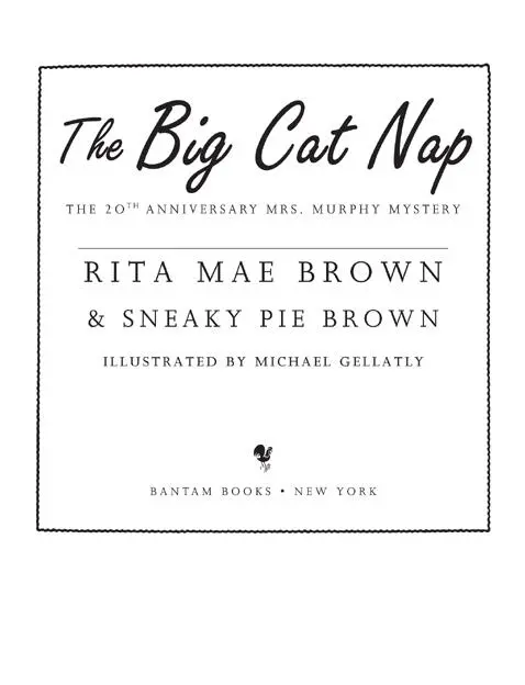 The Big Cat Nap is a work of fiction Names characters places and incidents - фото 2