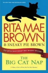 Рита Браун - The Big Cat Nap