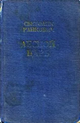 Светолик Ранкович - Лесной царь