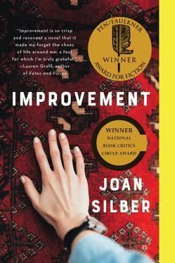 Джоан Силбер Improvement обложка книги