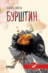 Василь Тибель - Бурштин