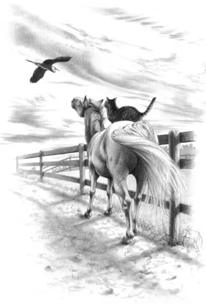 Harry observed her fourfooted friends and thought how fortunate she was to - фото 20