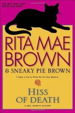 Рита Браун Hiss Of Death