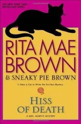 Рита Браун - Hiss Of Death