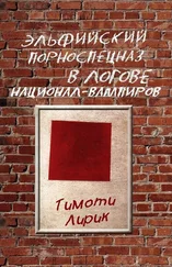 Тимоти Лирик - Эльфийский порноспецназ в логове национал-вампиров