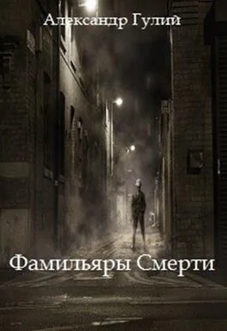 Александр Гулий Фамильяры Смерти [СИ] обложка книги