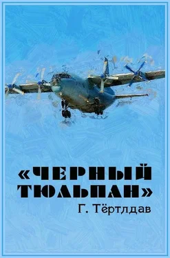 Гарри Тертлдав «Черный тюльпан» обложка книги