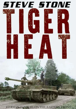 Steve Stone Tiger Heat: German Panzers on the Eastern Front обложка книги